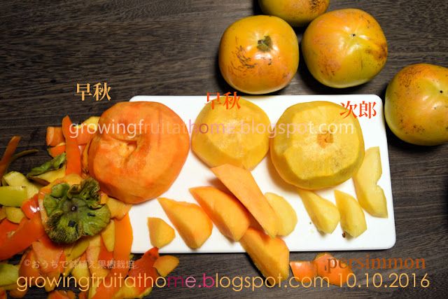 次郎柿と早秋と太秋の味の比較