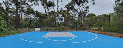 Basketball court for home