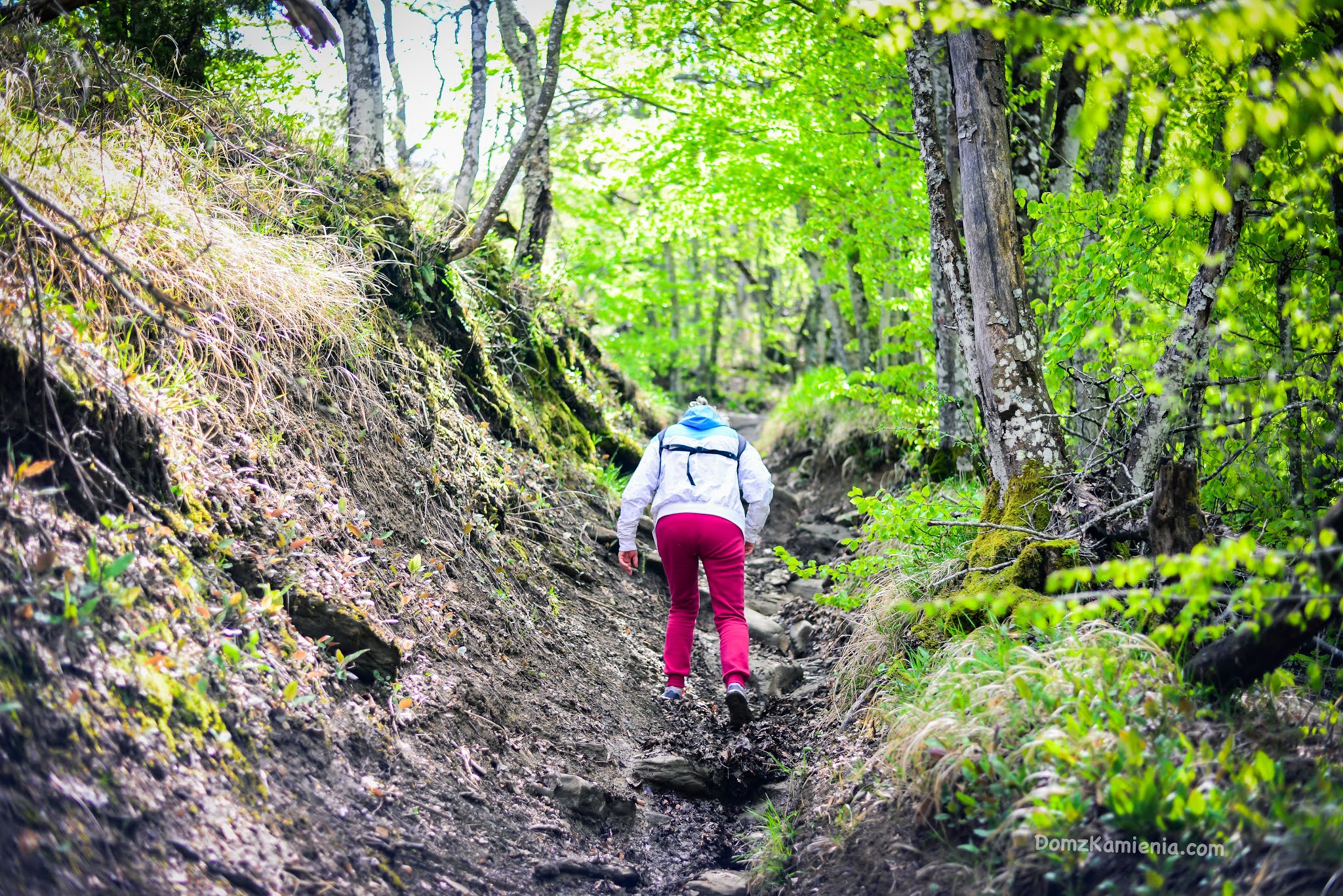 Dom z Kamienia blog o życiu w Toskanii, trekking, Marradi