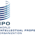 Intern at World Intellectual Property Organization