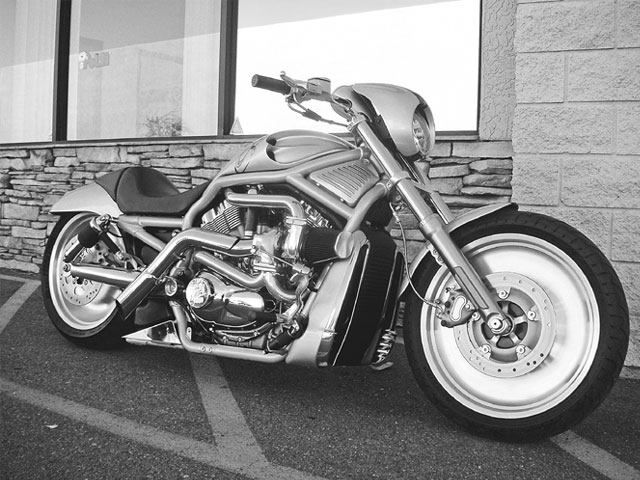 Online Wallpapers Shop Harley Davidson v rod Pictures 