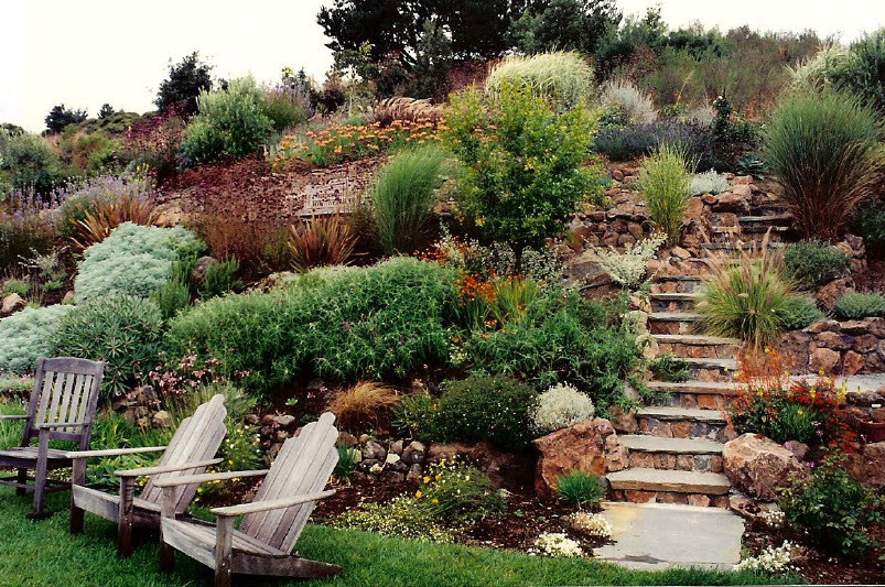 Hillside Landscaping