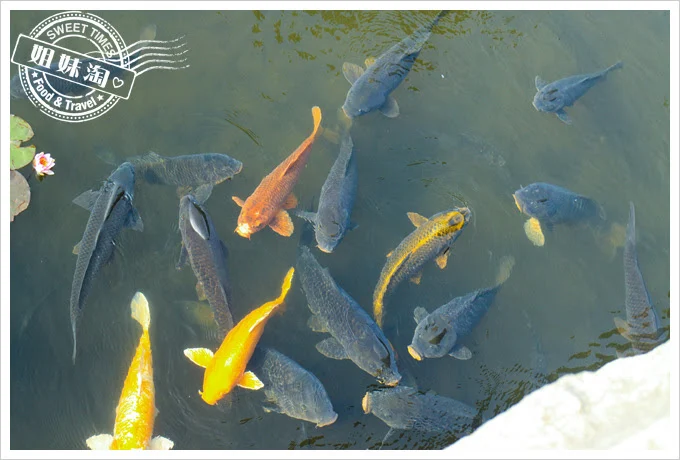 韓國一山湖水公園