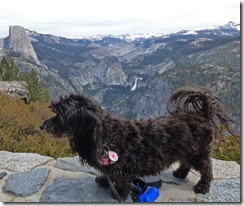 Skruffy 2018, Yosemite