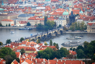 Charles bridge
