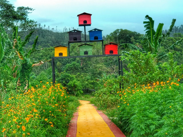 Spot foto Agro Piknik Sei Temiang Batam