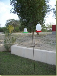 our birdfeeder
