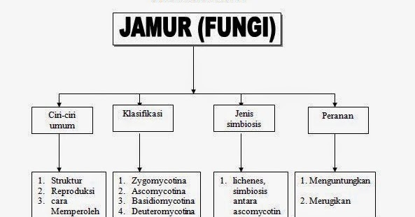 PETA KONSEP MATERI JAMUR FUNGI Pustaka Pandani