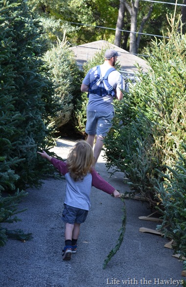 DSC_0753 DSC_0753