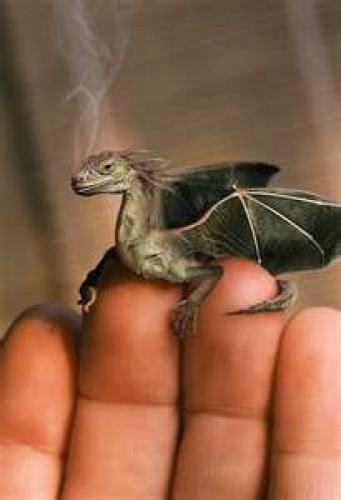 How To Make Dragon Dust