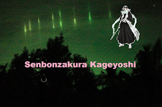 Byakuya Kuchiki Senbonzakura Kageyoshi, Bleach, Anime, Manga