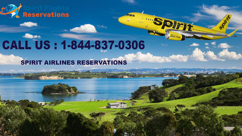 Spirit Airlines Reservations