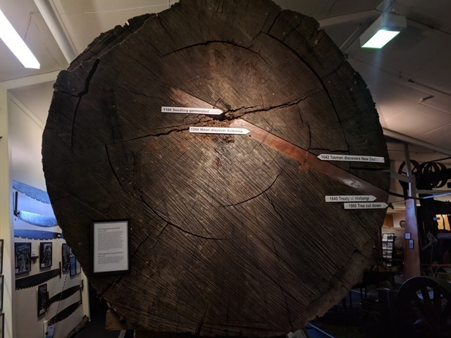 P26_NZ NI Kauri Museum_2018-06-06_Jen_IMG_20180607_142037