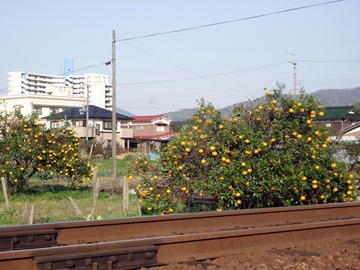 DSC07819e