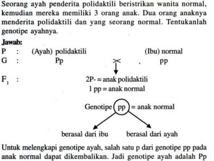 Contoh Soal Catatan Kaki Dan Jawaban - Ndang Kerjo