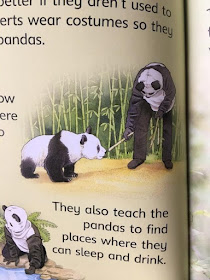 Pandas