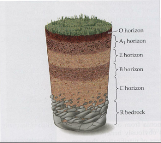 DEFINITION PEDOSPHERE AND SOIL STRUCTURE