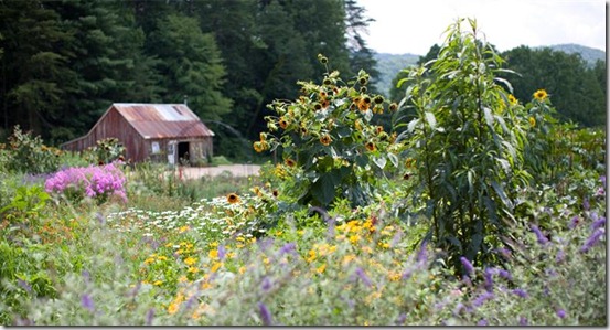 bb_slideshow_10