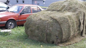 parkir sembarangan rumput