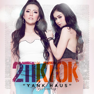 2TikTok - Yank Haus MP3