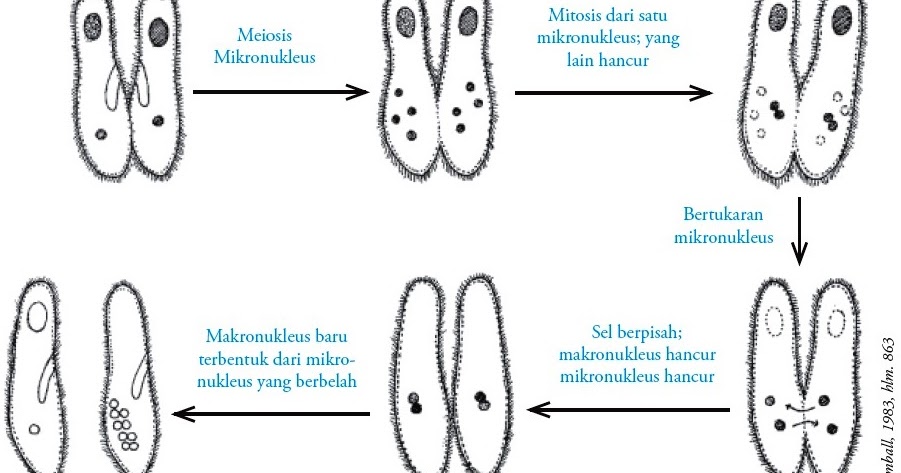 Contoh Artikel Jurnal Ilmiah Ekonomi - J K A T L V