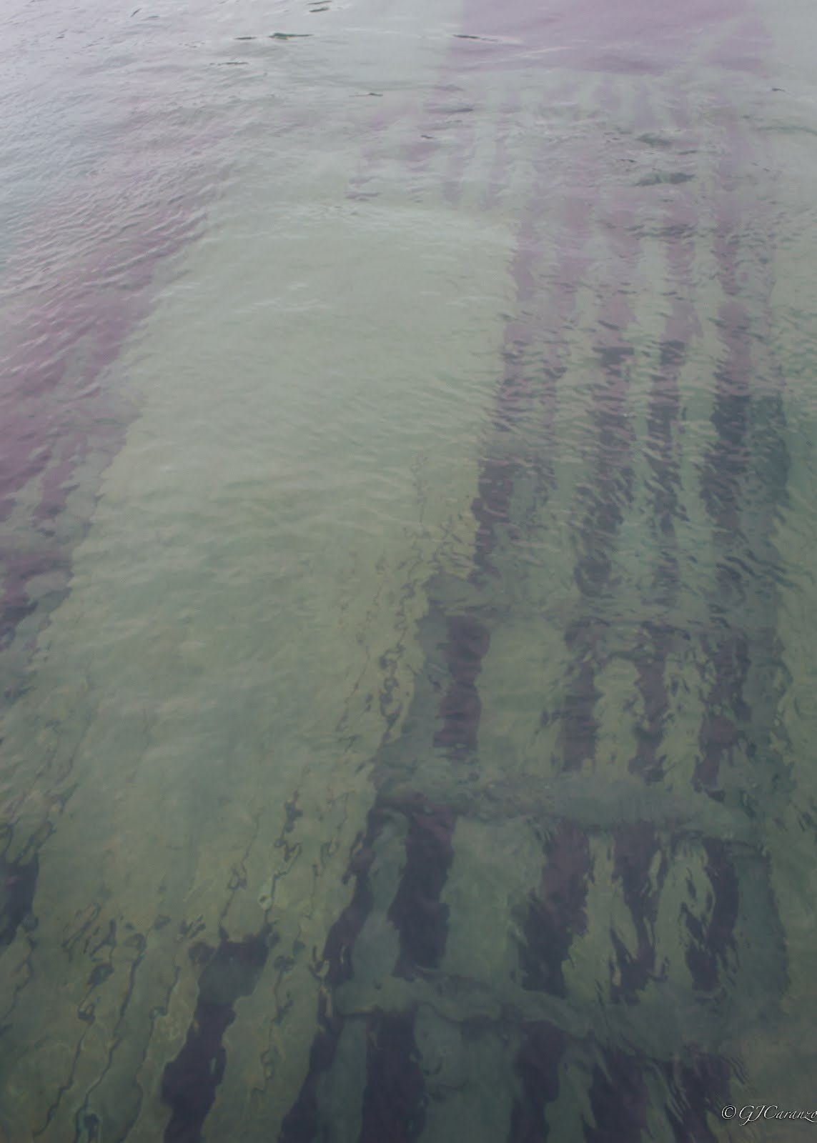 Things To Do in Summer in Ontario, Canada: Take a Boat Ride to Flowerpot Island in Tobermory