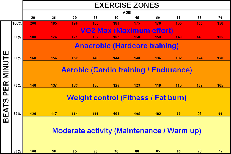 resting pulse rate chart. 出一個比較詳細的Heart Rate