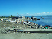 This is the beach. Let me get my picnic basket and towels and wife and kids . (the beach)