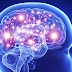 Kenali 5 Cara Ini agar Kemampuan Otak Tetap Tajam