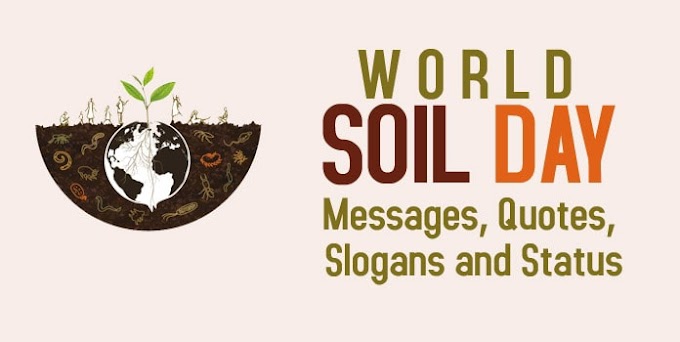  World Soil Day 2023: Messages, Soil Quotes, Soil Slogans, Whatsapp Status