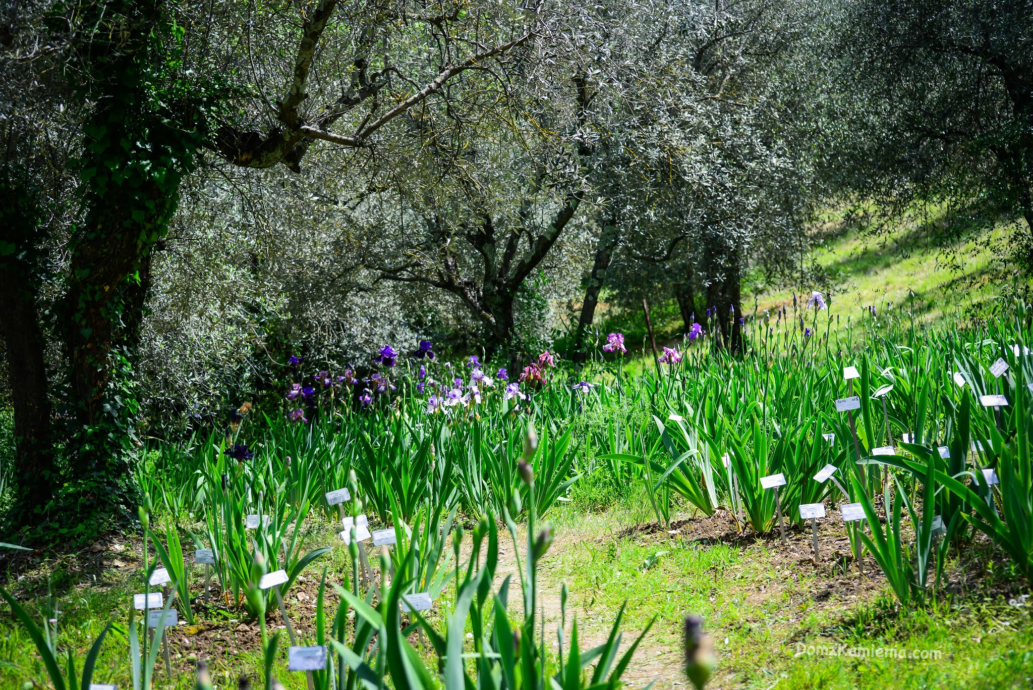 Giardino dell'Iris - Florencja, Dom z Kamienia