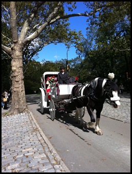 nyc 102