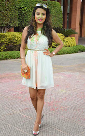 Jyoti Seth Holi Celebrations at Novotel 7.jpg