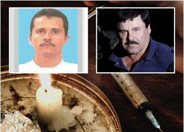 Cártel de Sinaloa y El CJNG , detrás de la epidemia de opioides en EU