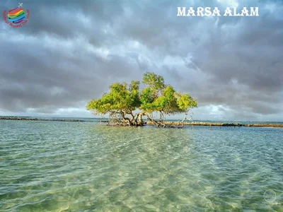 Marsa Alam