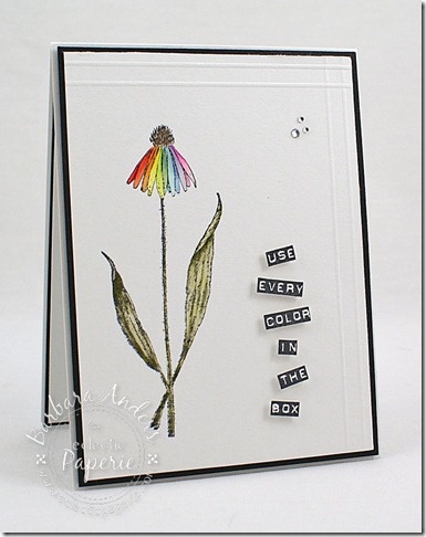 rainbowdaisy_2012nov16