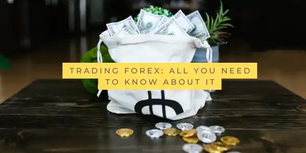 How to do the suitable trading on the forex market