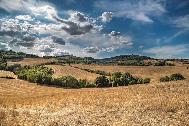 crop weather impact