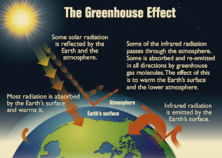 Explain why the greenhouse effect is necessary for life on earth