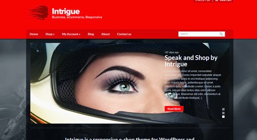 Intrigue Cssigniter Wordpress Theme Version 1.2 free