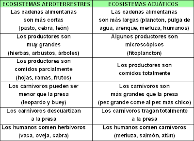 ecosistemas depredadores herbívoros carnívoros productores carroñeros