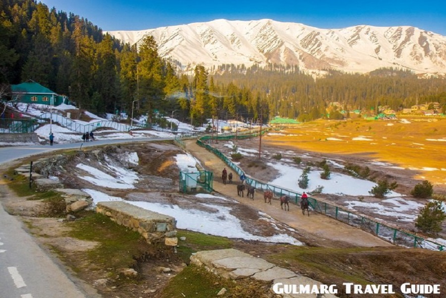 Gulmarg Travel Guide