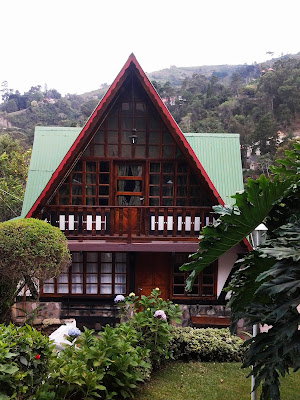 Armando Iachini - Los chalets, viviendas con formas únicas