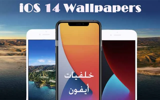 حمل خلفيات ابل iOS 14 وخلفيات MacOS Big Sur الرسمية للايفون,خلفيات ايفون,خلفيات ابل الرسمية,خلفيات نظام الماك,خلفيات نظام ابل,تحميل خلفيات ابل,تنزيل خلفيات ابل,ابل,خلفيه ايفون, خلفية ايفون x,خلفيات ايفون ١١,خلفيات ايفون x,ايفون,ايباد,ماك,خلفيات  HD,iPhone,Mac,Apple,iOS14,MacOS