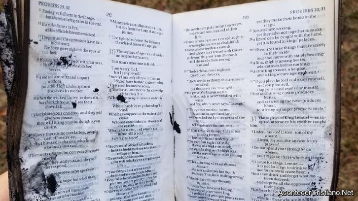Biblia intacta tras incendio