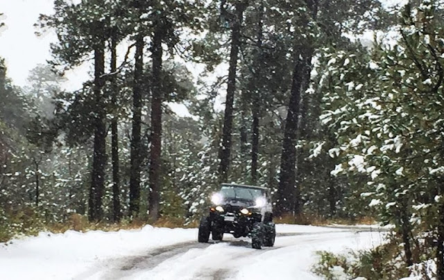 Auto en nieve