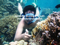 wisata karimunjawa