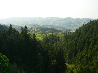 P1030574jpg