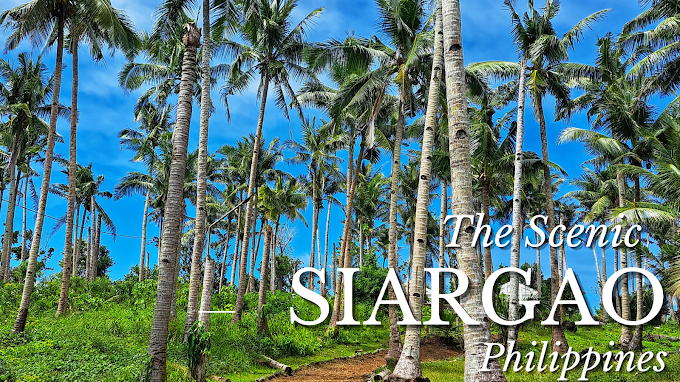 The Scenic Siargao, Philippines