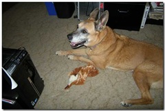 Sandy's Toy